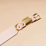 Dog Collar - Blush Pink - Gold Hardware - OLLIE & JAMES