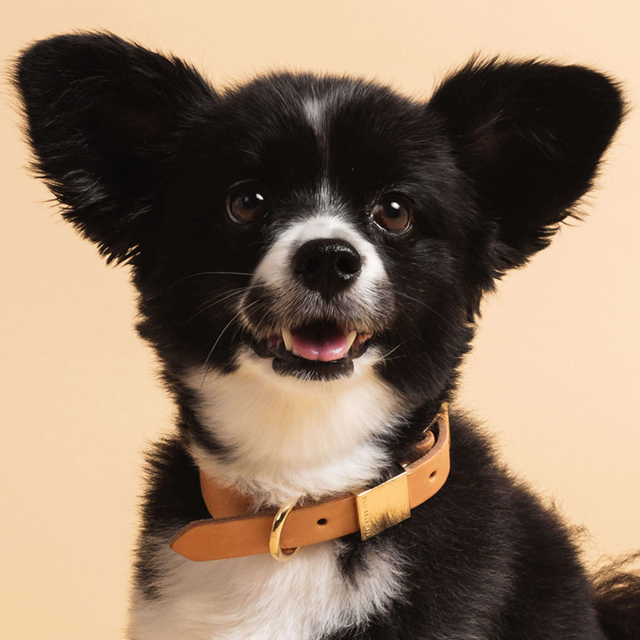 Dog Collar - Leather - Camel - Small - OLLIE & JAMES