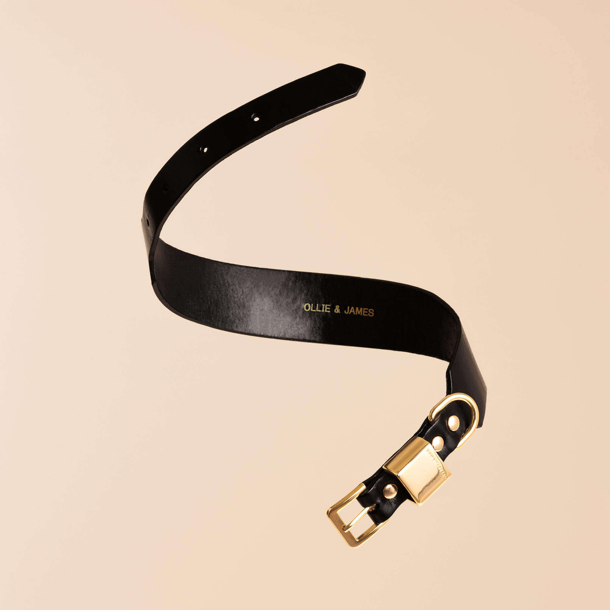 Dog Collar - Vegetable Tanned Leather - Sable Black - OLLIE & JAMES