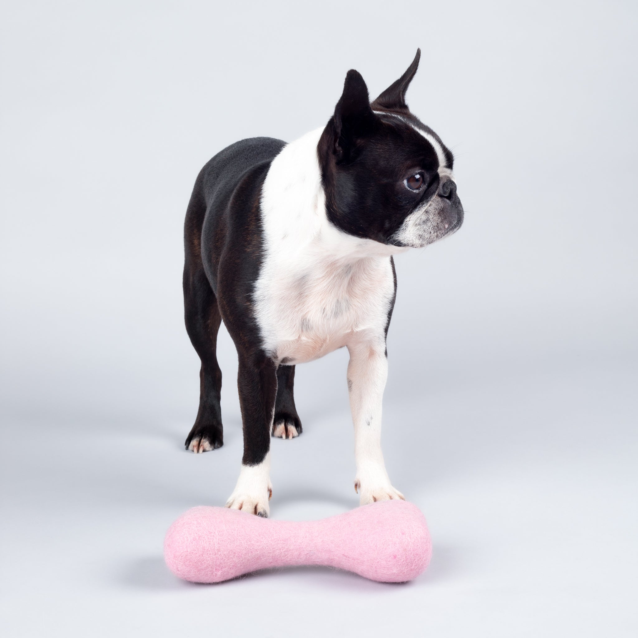 Sustainable and Safe: The Story Behind Our Handmade Dog Toys