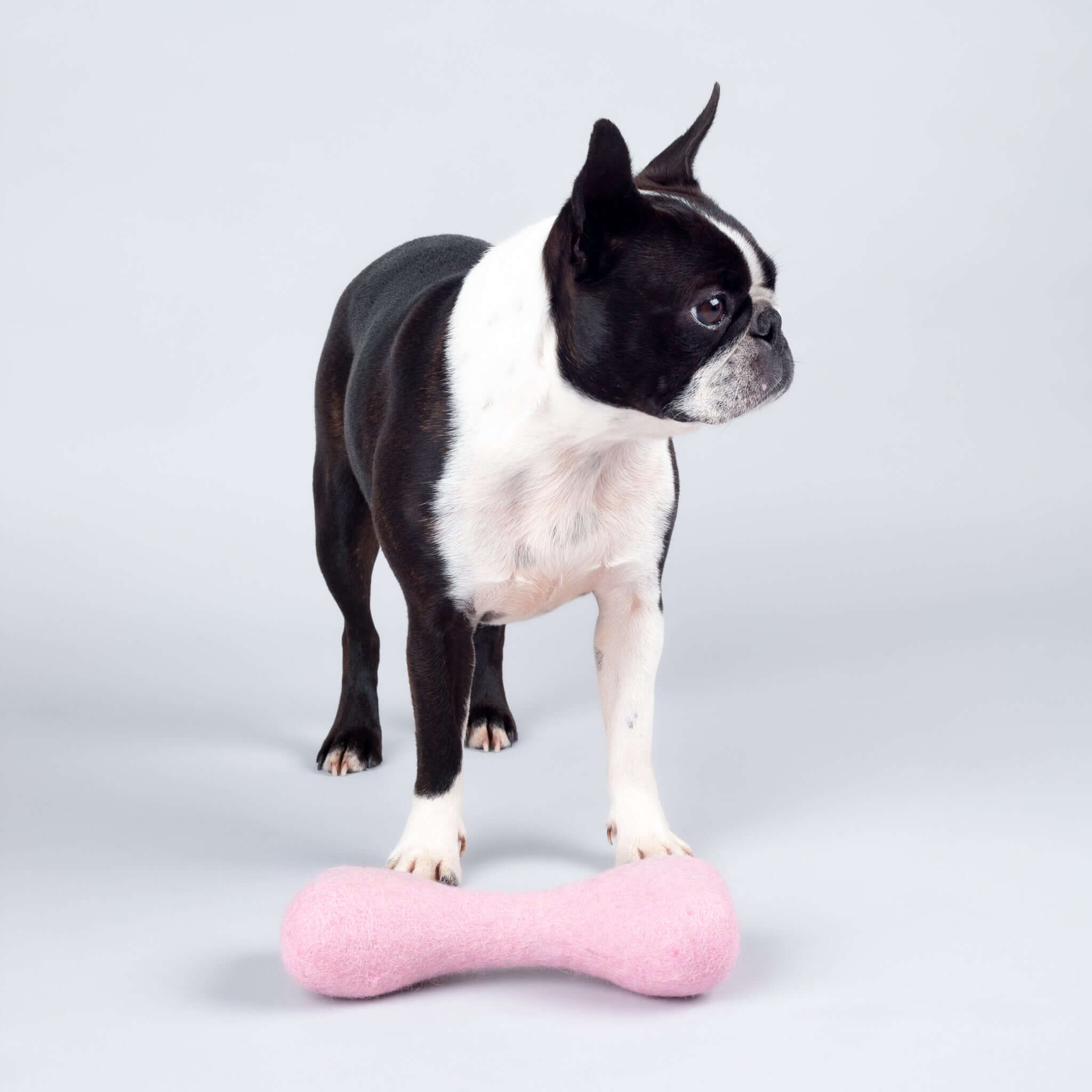 Sustainable and Safe: The Story Behind Our Handmade Dog Toys