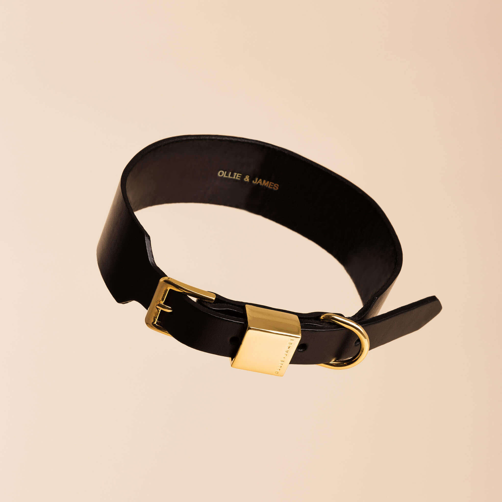 Luxury leather dog collar in sable black.