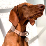 Dog Collar - Italian Leather - Blush Pink - OLLIE & JAMES