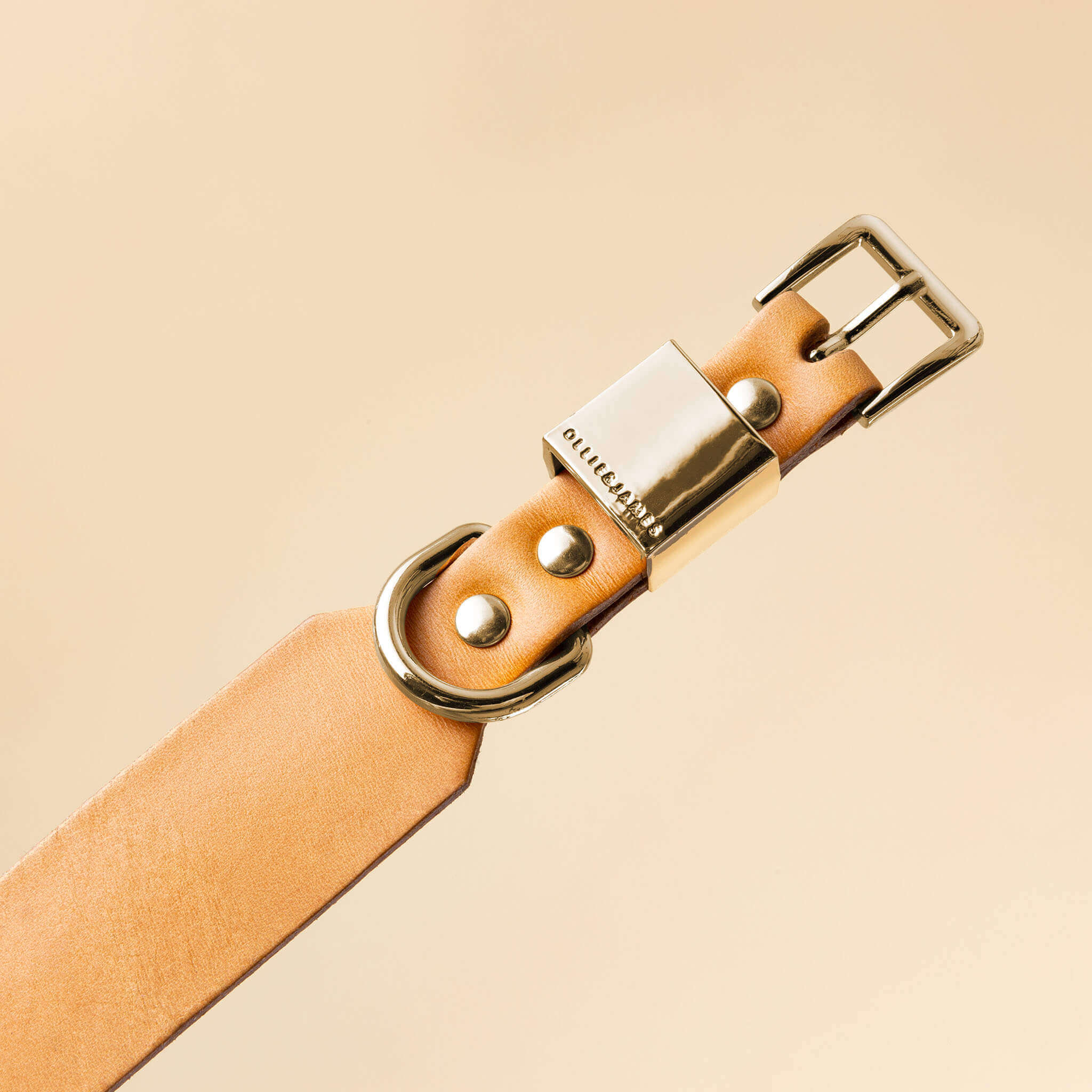 Dog Collar - Vegetable Tanned Leather - Gold Hardware - OLLIE & JAMES