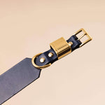 Dog Collar - Vegetable Tanned Leather & Gold Hardware - OLLIE & JAMES