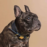 Dog Collar - Ink Blue - Medium - OLLIE & JAMES