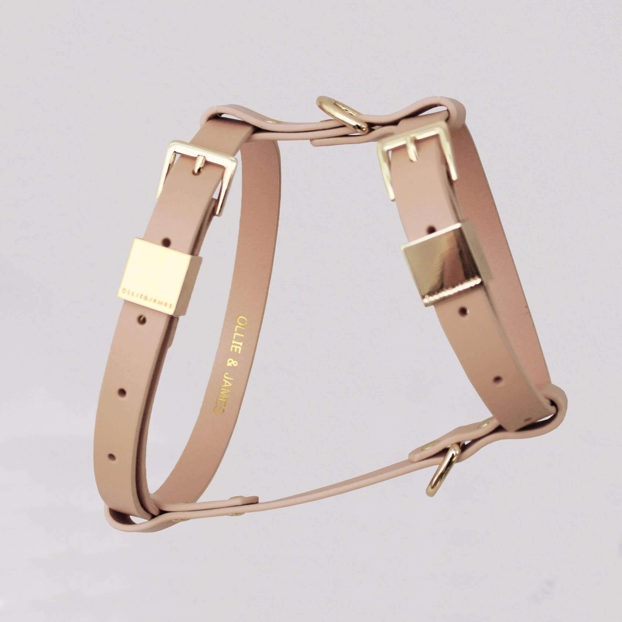 Dog Collar - Chewy Louie in Pink or Blue [IDPC115] - $29.95